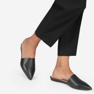 Everlane Pointed Slide